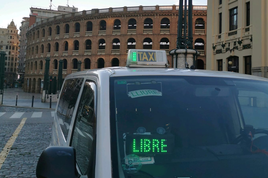 Escuela de verano en Valencia: Un nuevo programa para cuidar el medio ambiente taxi valencia